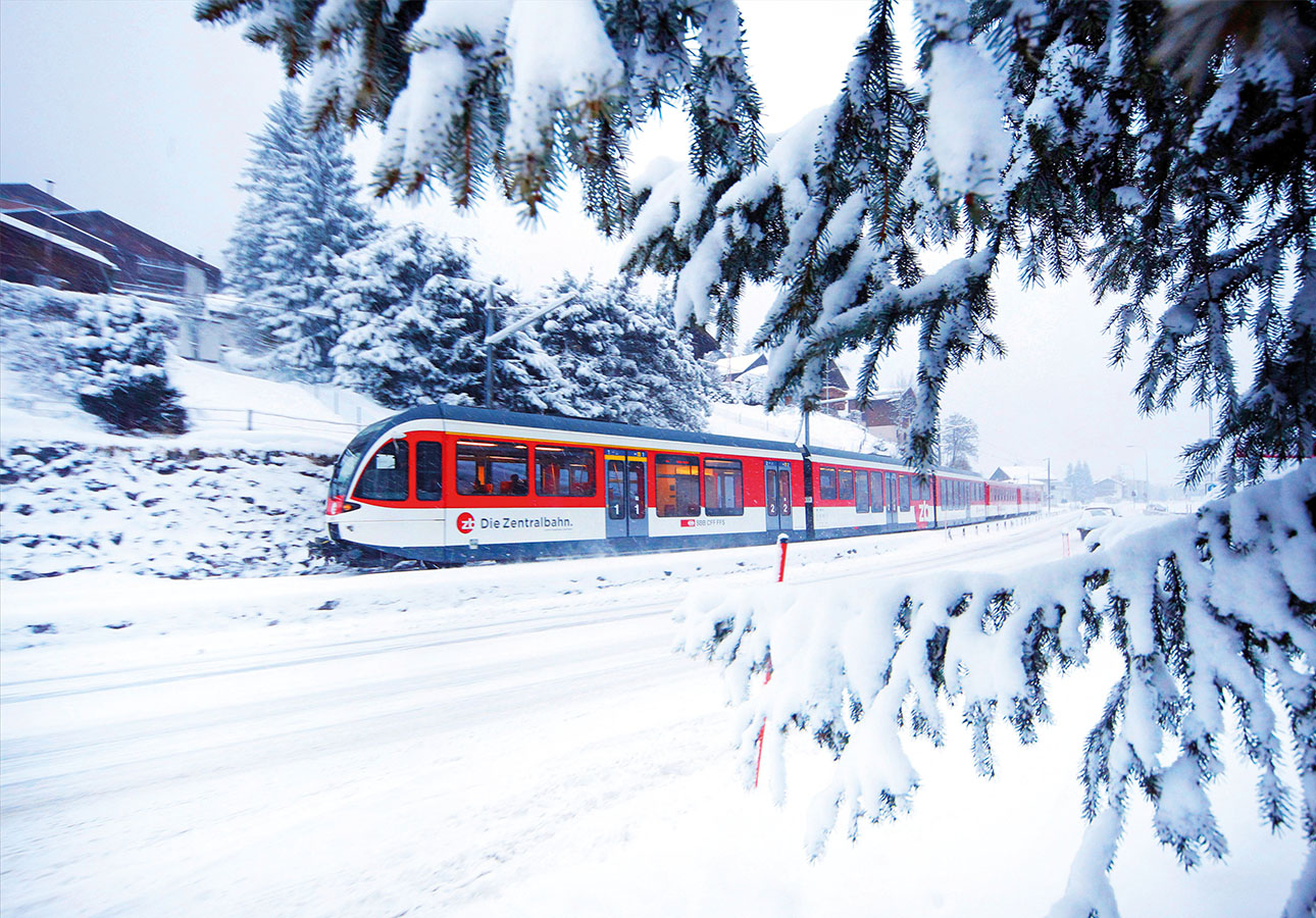 - IGE Erlebnisreisen | © Murten Tourismus  - IGE Erlebnisreisen | © Murten Tourismus